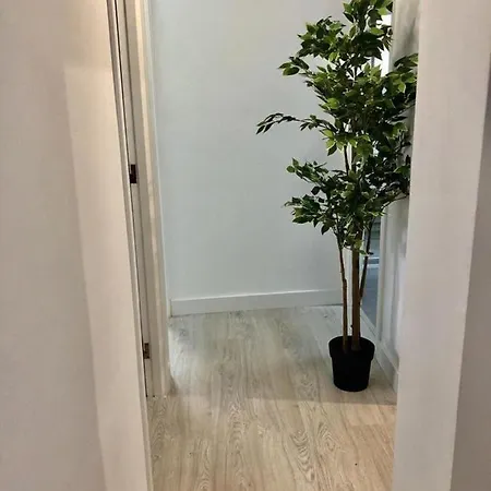 Sunny Beach Corner Apartament *